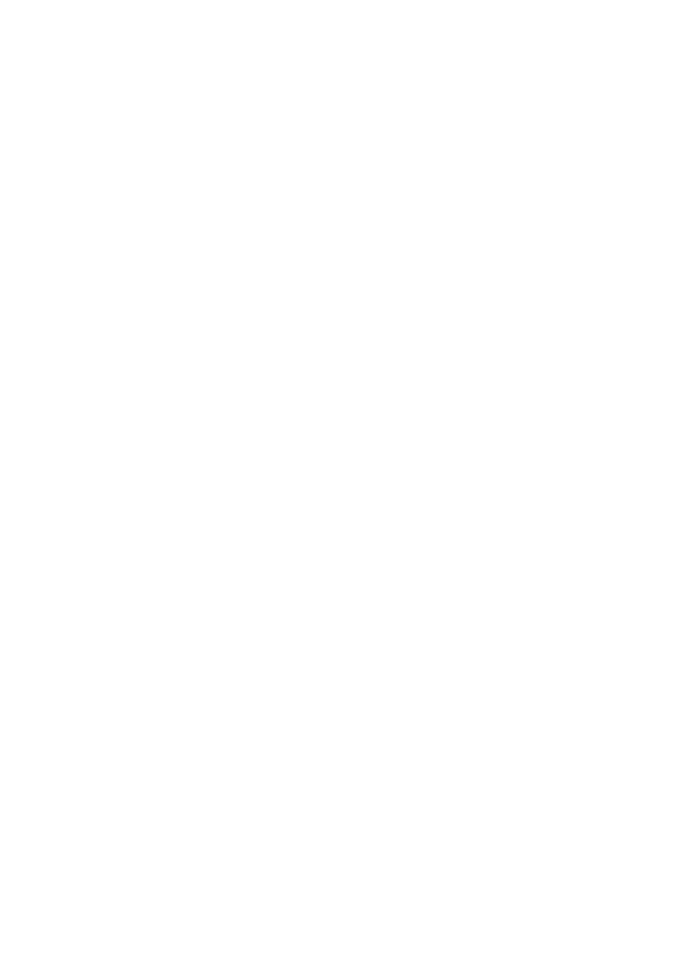 BM Software