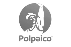 logo Polpaico