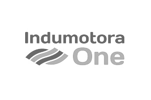logo indumotora One